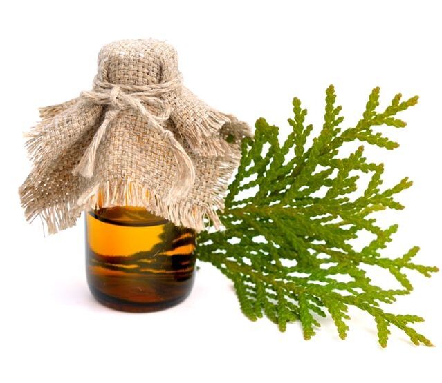 Thuja oil for warts on fingers